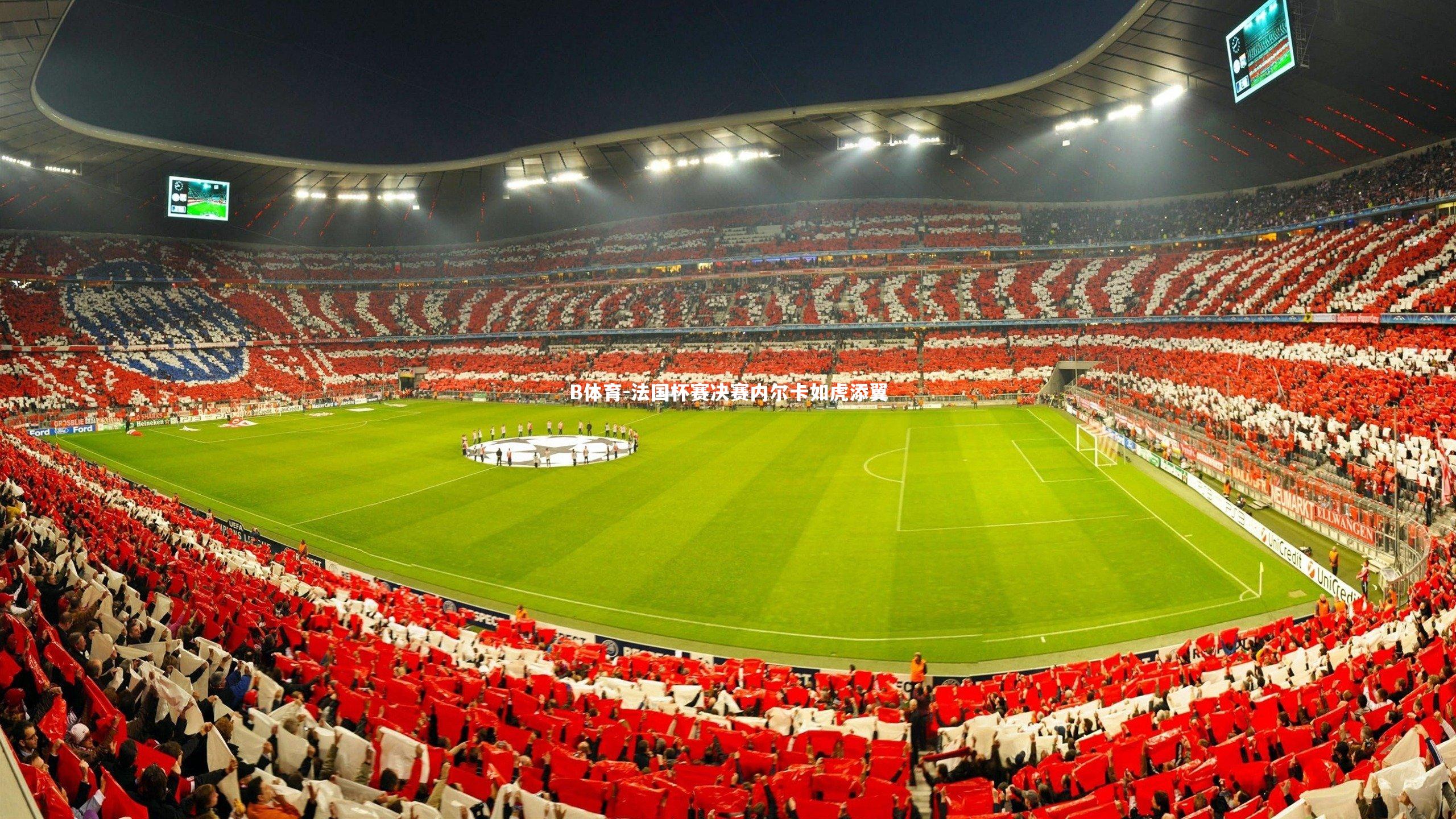 B体育-法国杯赛决赛内尔卡如虎添翼