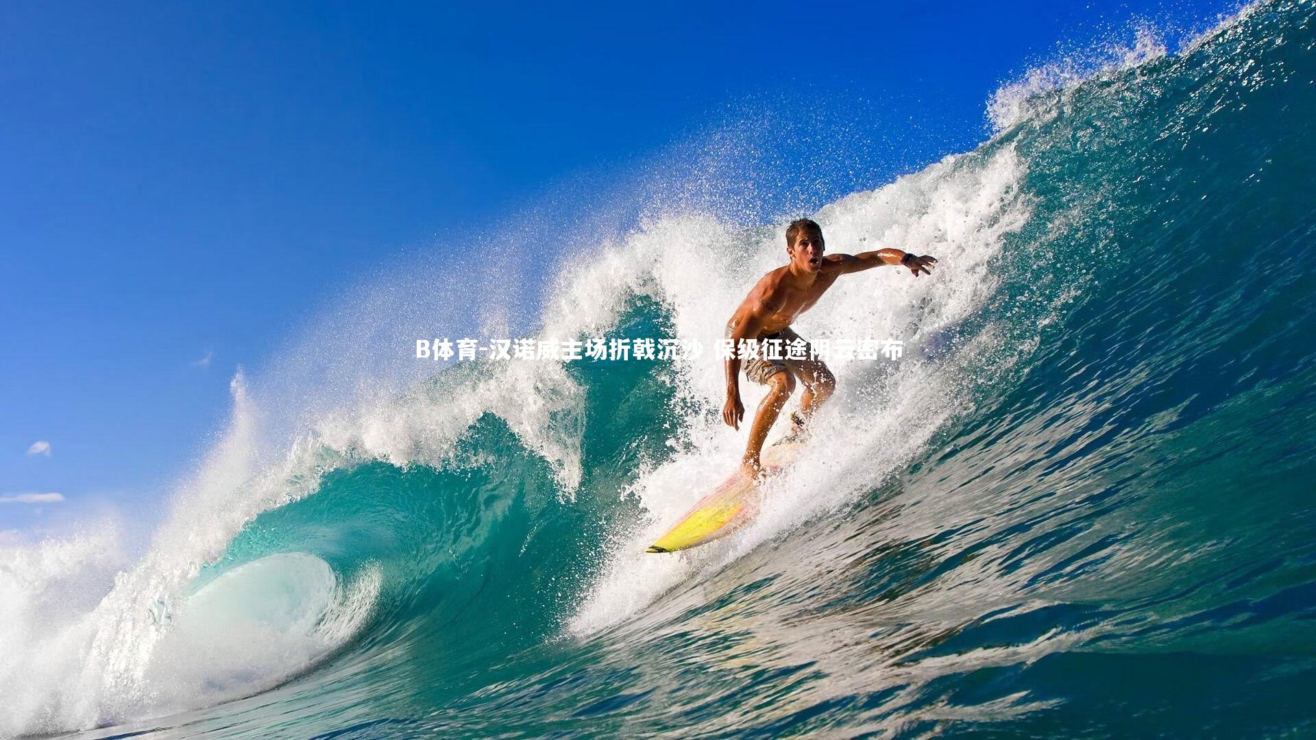 汉诺威主场折戟沉沙 保级征途阴云密布