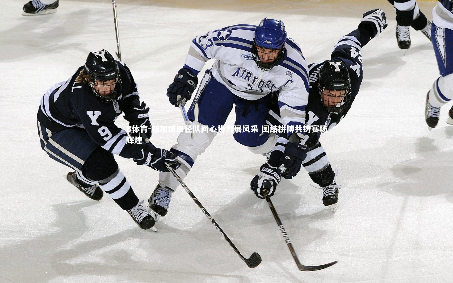 新加坡田径队同心协力展风采 团结拼搏共铸赛场辉煌